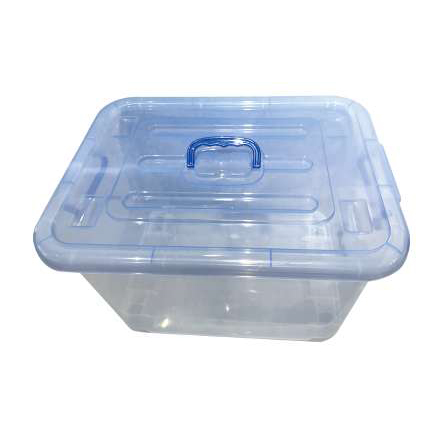 House using molds 2